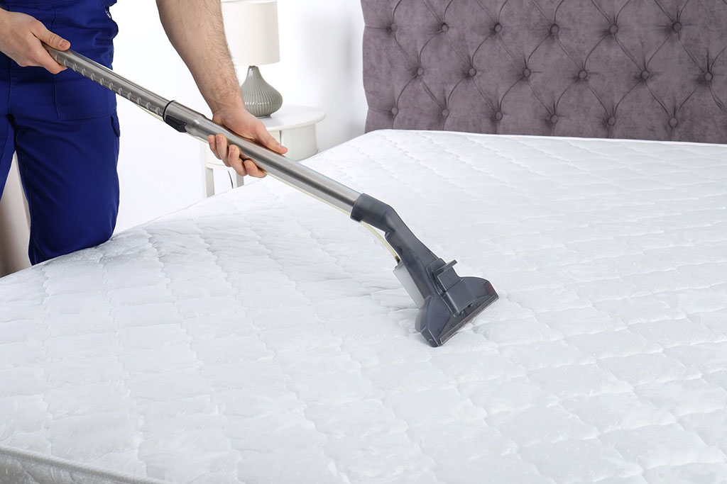 bed mattress cleaning services