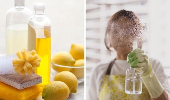 Lemon Cleaning Spray